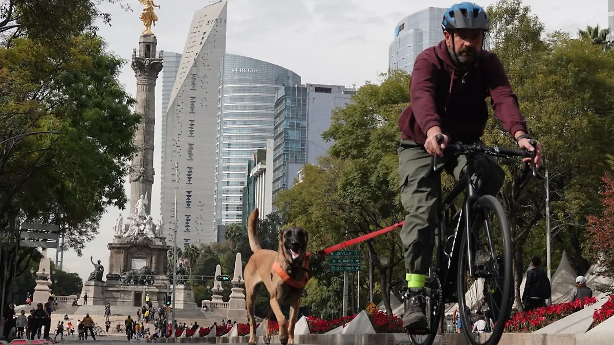 Muévete en bici